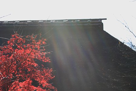 2009.12.06　長屋門公園　紅葉