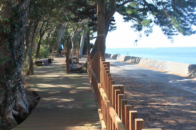 井田海岸沿いの遊歩道 写真共有サイト フォト蔵