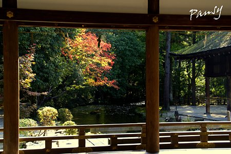 上賀茂神社にて・・5
