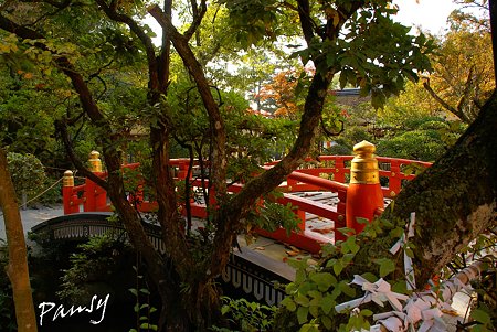 上賀茂神社にて・・11