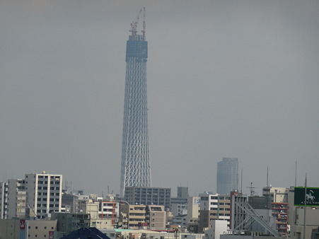 P1030301