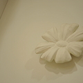 Photos: 片隅の花