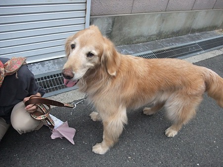 来たよ♪