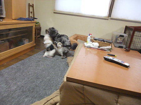 良きバトル仲間