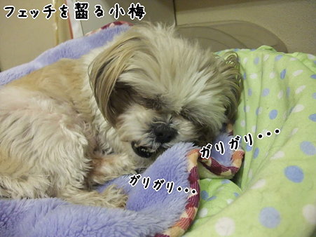 呆れた?