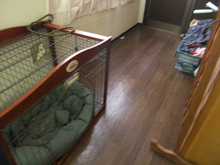 玄関入ってすぐの所