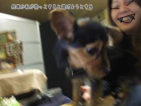 来夢にはこう見える?!