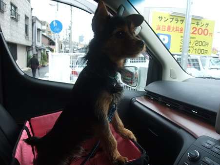 病院へGO
