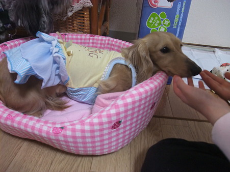 ベッドの居心地も確かめ
