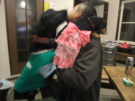 いきなりペロペロ攻撃に合う、おかんさんの旦那様