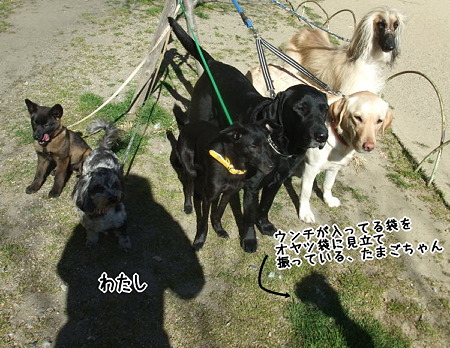 ネタバラシ