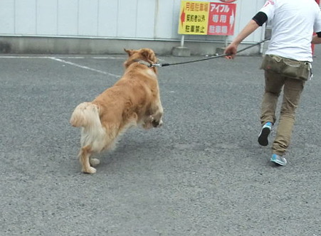 遊ぶの大好き♪