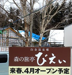 09155.jpg