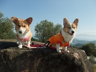 2009_1123岡山にて0189