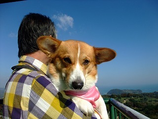 2009_1123岡山にて0195