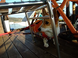 2009_1123岡山にて0240