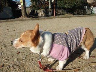 2009_1218久しぶりに公園で0012