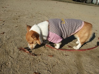 2009_1218久しぶりに公園で0011