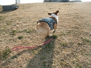 2010_0124みなと公園0019