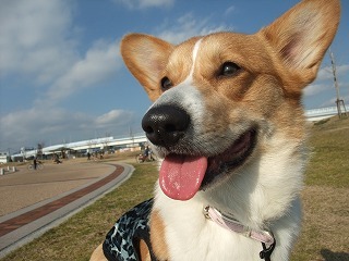 2010_0124みなと公園0028