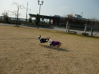 2010_01290030