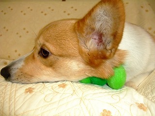 2010_03040049