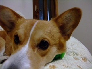 2010_03040047