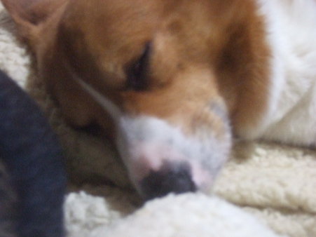 2010_01302010.1月末まで0008