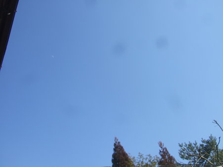 DSCF4206