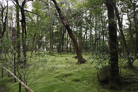 秋篠寺 - 01