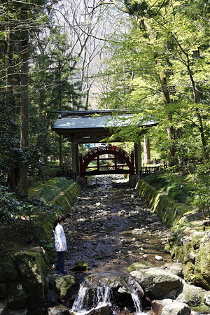弥彦神社 - 04