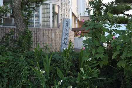 清水城 - 3