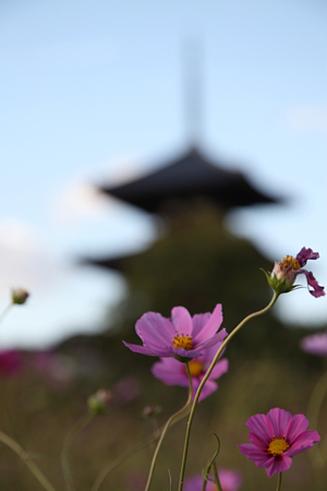 法起寺 - 14