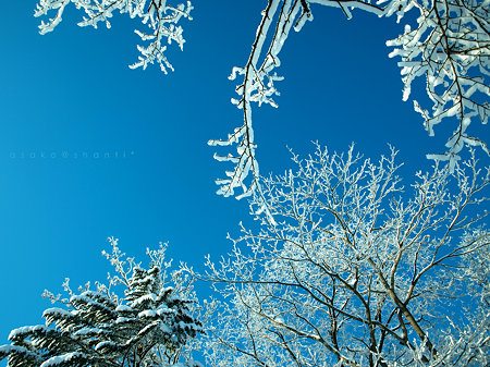 winter sky