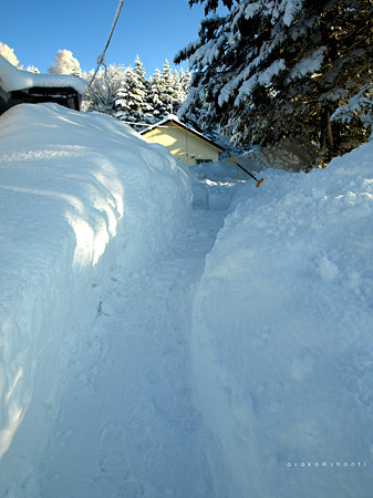 雪国
