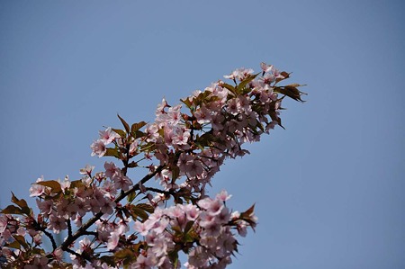 1005050827_DSC_5051