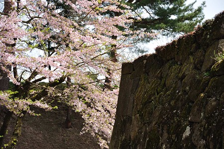1005051218_DSC_5534