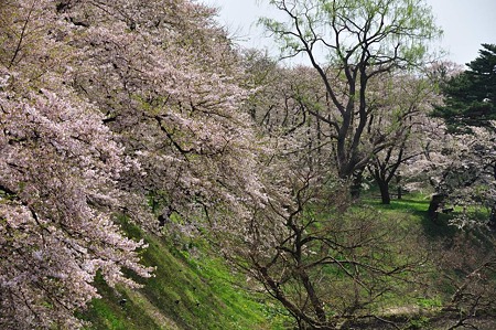 1005051219_DSC_5542