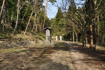 1005051538_DSC_5894