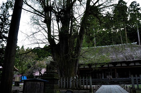 1005051708_DSC_5976