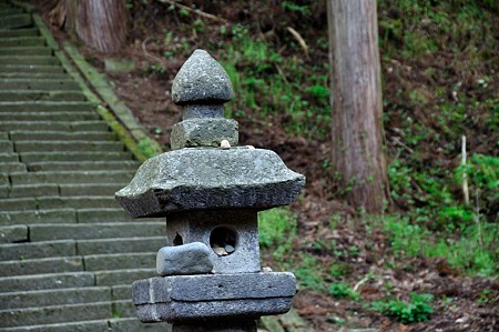 1005051713_DSC_6011