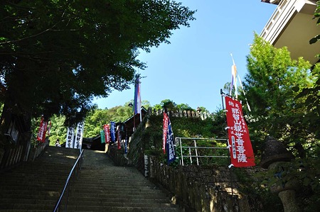 1009190846_DSC_1195