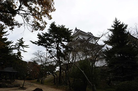 1011231003_DSC_4227