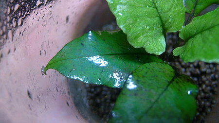 DSCF8397