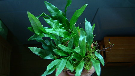 DSCF9128