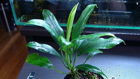 DSCF5948