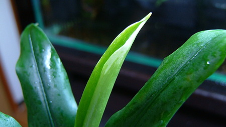 DSCF5945