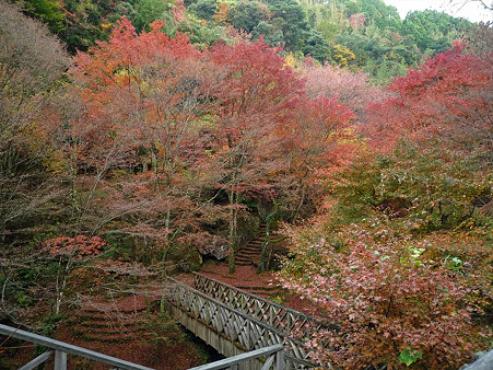 山中渓谷の紅葉