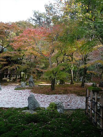 光明禅寺の紅葉