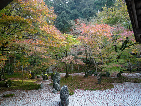 光明禅寺の紅葉